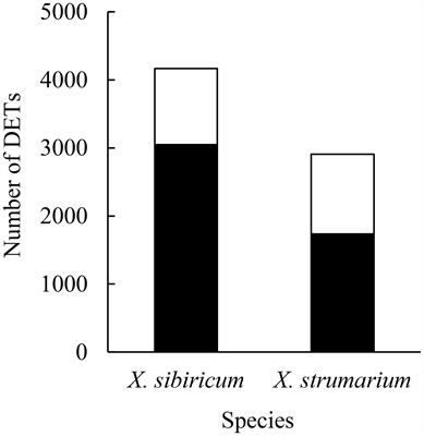 Transcripts related with ammonium use and effects of gibberellin on expressions of the transcripts responding to ammonium in two invasive and native Xanthium species